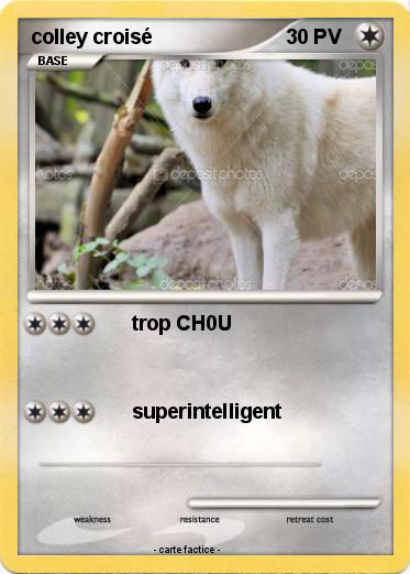 Pokemon colley croisé