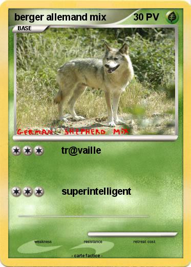 Pokemon berger allemand mix