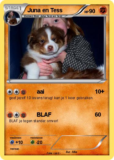 Pokemon Juna en Tess