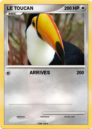 Pokemon LE TOUCAN