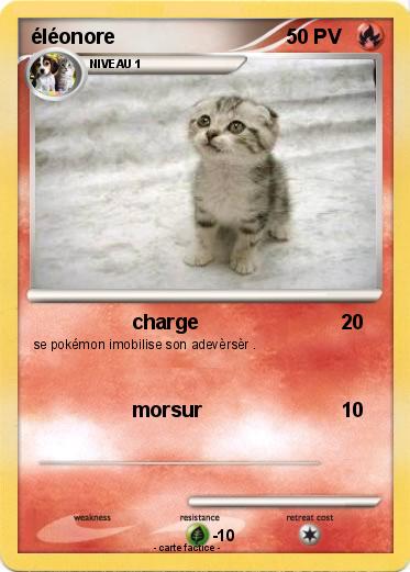 Pokemon éléonore