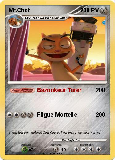 Pokemon Mr.Chat