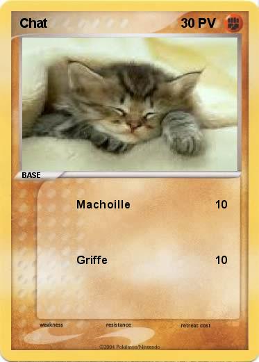 Pokemon Chat
