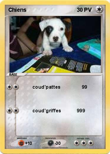Pokemon Chiens