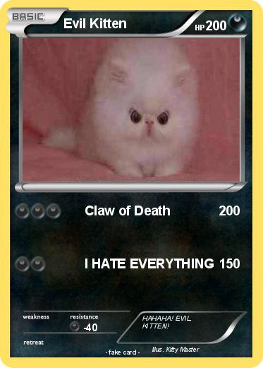 Pokemon Evil Kitten