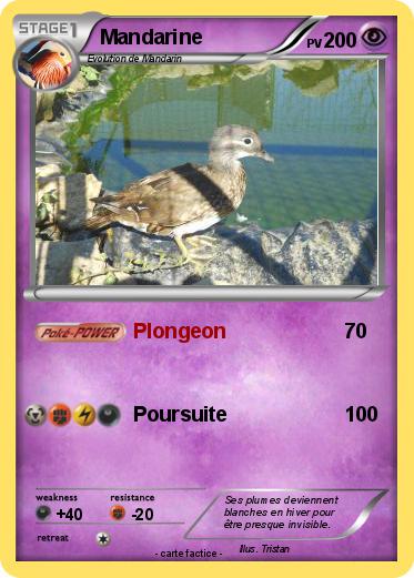 Pokemon Mandarine