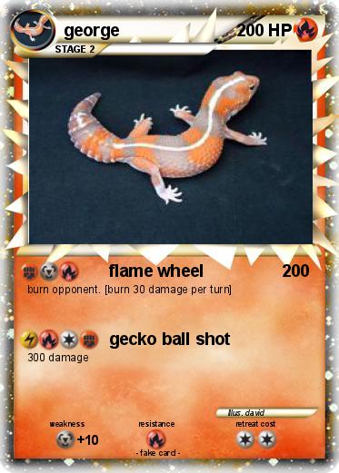 Pokemon george