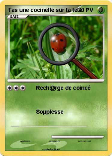 Pokemon t'as une cocinelle sur ta tête