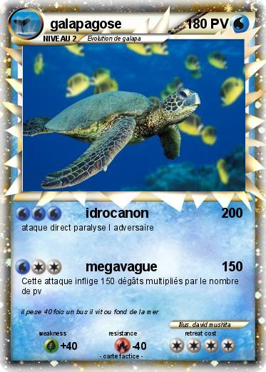 Pokemon galapagose