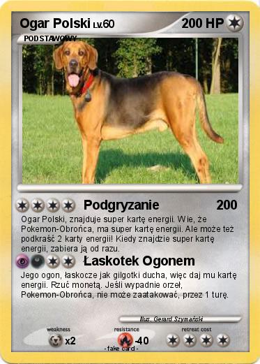 Pokemon Ogar Polski