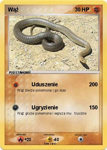 Pokemon Wąż
