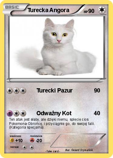 Pokemon Turecka Angora