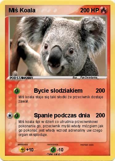 Pokemon Miś Koala